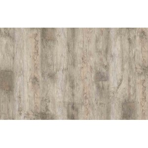 Ламинат Kastamonu Sunfloor Ясень Вирджиния 51