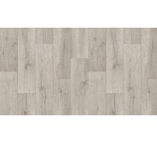 Линолеум Tarkett Club Arma 1